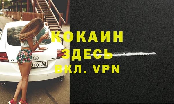 не бодяженный Алексин