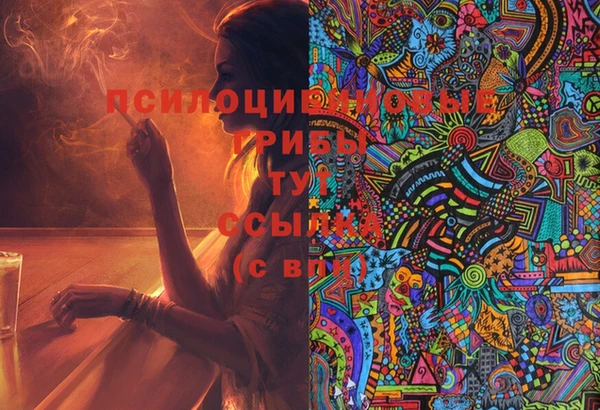 не бодяженный Алексин