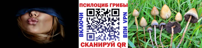 наркотики  Осинники  Псилоцибиновые грибы ЛСД 