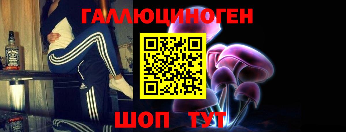 Галлюциногенные грибы мицелий Осинники